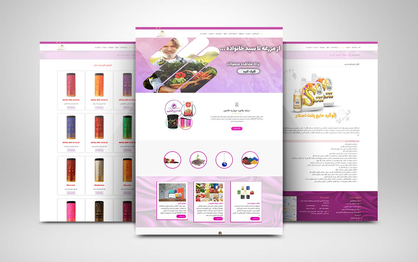 hamoon website